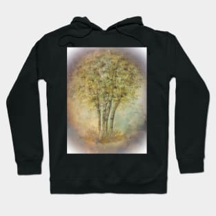 Watercolor Birch Tree Cluster Hoodie